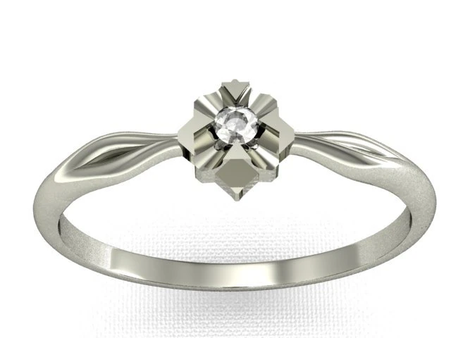 ring2 3D Print Model .c4d .max .obj .3ds .fbx .stl .blend 