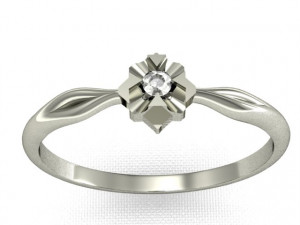 ring2 3D-printmodel