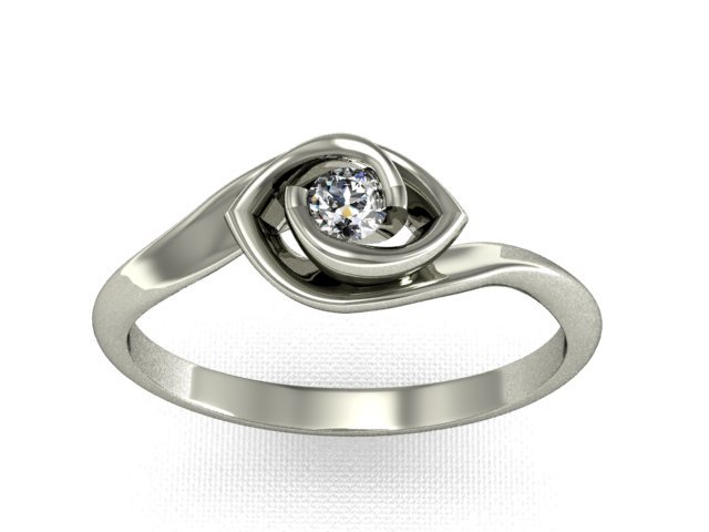 ring2 3D Print Model .c4d .max .obj .3ds .fbx .stl .blend