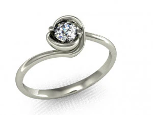 ring2 3D Print Model