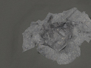 pothole design 1 Modèle 3D