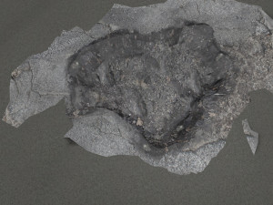 pothole design 2 3D Model