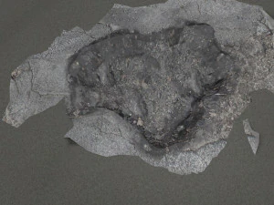 dise&ntilde;o de baches 2 Modelo 3D