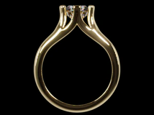 Ring One Stone RD750MM 3D Print Model