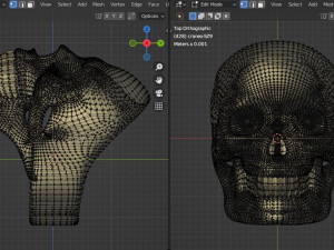Ring Skull SZ900 3D Print Model