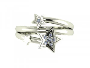Ring Star SZ 650 3D Print Model