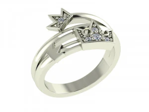 Ring Crown SZ 650 3D Print Model