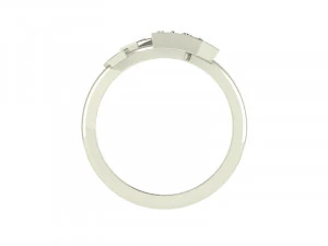 Ring Crown SZ 650 3D Print Model