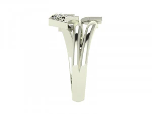 Ring Crown SZ 650 3D Print Model