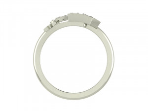 Ring Crown Mix SZ 650 3D 프린트 모델