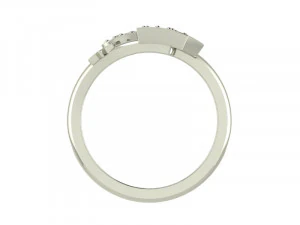 Ring Crown Mix SZ 650 3D Print Model