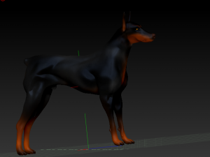 dobermanrookie 3D 모델