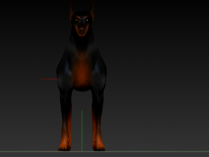 dobermanrookie Modelo 3D