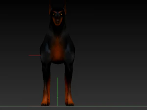 dobermanrookie 3D Model