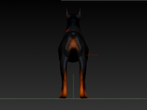 dobermanrookie Modelo 3D