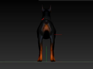 dobermanrookie 3D Model