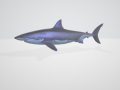 3D Great White Shark Modello 3D