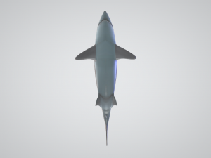 3d great white shark 3D Model