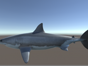 3d great white shark 3D Model