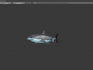 3d great white shark 3D Model