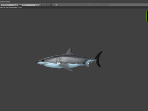 3d great white shark 3D Model