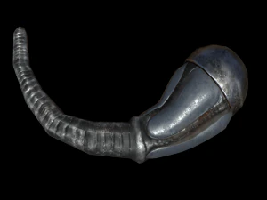 worm low-poly game ready 3D Model