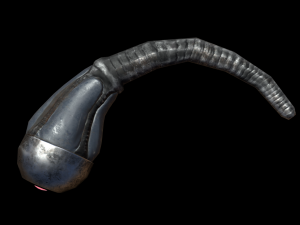 worm low-poly game ready 3Dモデル