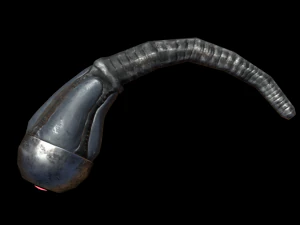 worm low-poly game ready 3D Model
