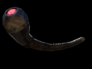 worm low-poly game ready 3Dモデル