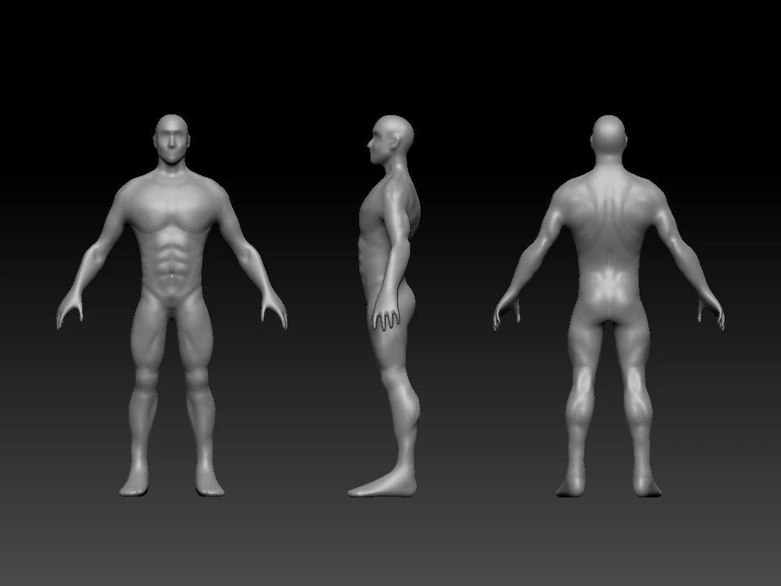 body mesh 3D Model .c4d .max .obj .3ds .fbx .stl .blend