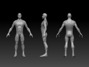 body mesh 3D 모델