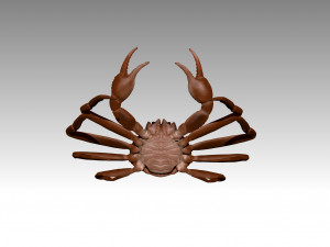 queen crab Modelo 3D