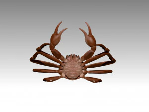 queen crab 3D Model