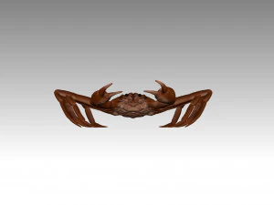 queen crab 3D Model