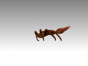 queen crab Modelo 3D