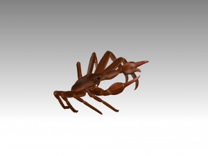 queen crab Modelo 3D