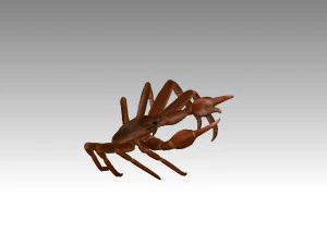 queen crab 3D Model