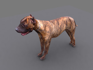 pitbull dog Model 3D