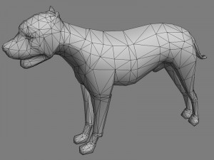 pitbull dog Model 3D