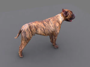 pitbull dog 3D Model