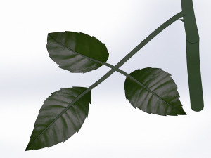 rose flower 3D 打印模型