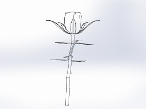 rose flower 3D 打印模型