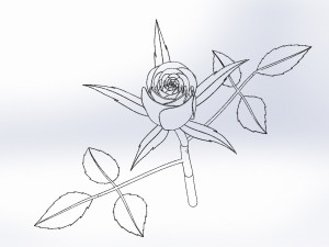 rose flower 3D 打印模型