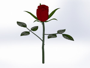 rose flower 3D 打印模型