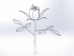 rose flower 3D 打印模型