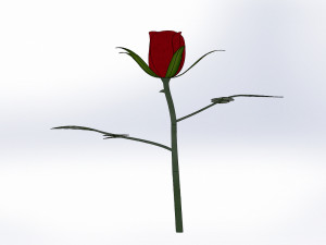 rose flower 3D 打印模型