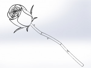 rose flower 3D Print Model