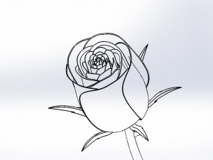 rose flower 3D Print Model