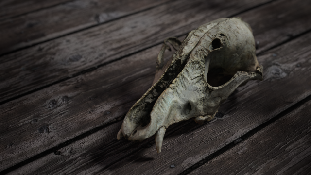 deadly skull 02 3D 模型 .c4d .max .obj .3ds .fbx .stl .blend 