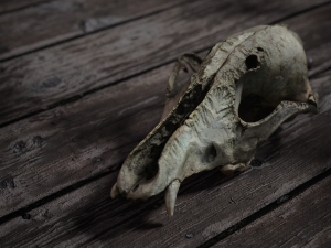 deadly skull 02 3Dモデル